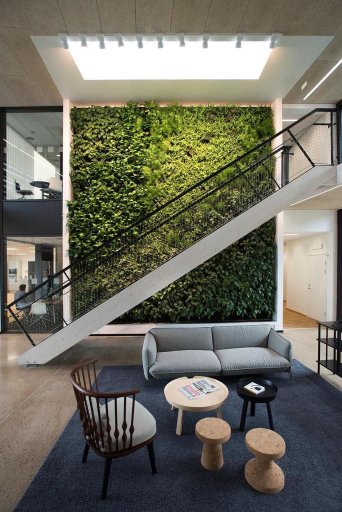 garden_green_feature_wall_renovation_interior