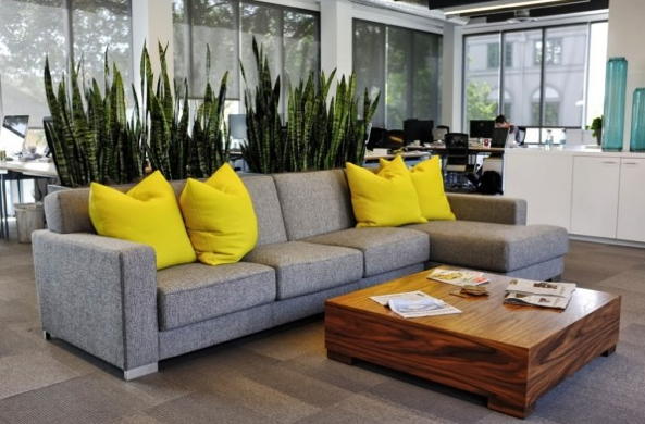 plants-vertical-garden-pots-partition-divider-interior-design