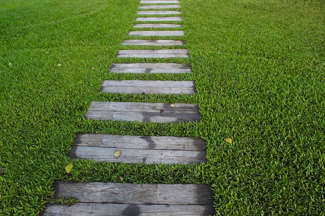 garden path in the middle of lawn grass