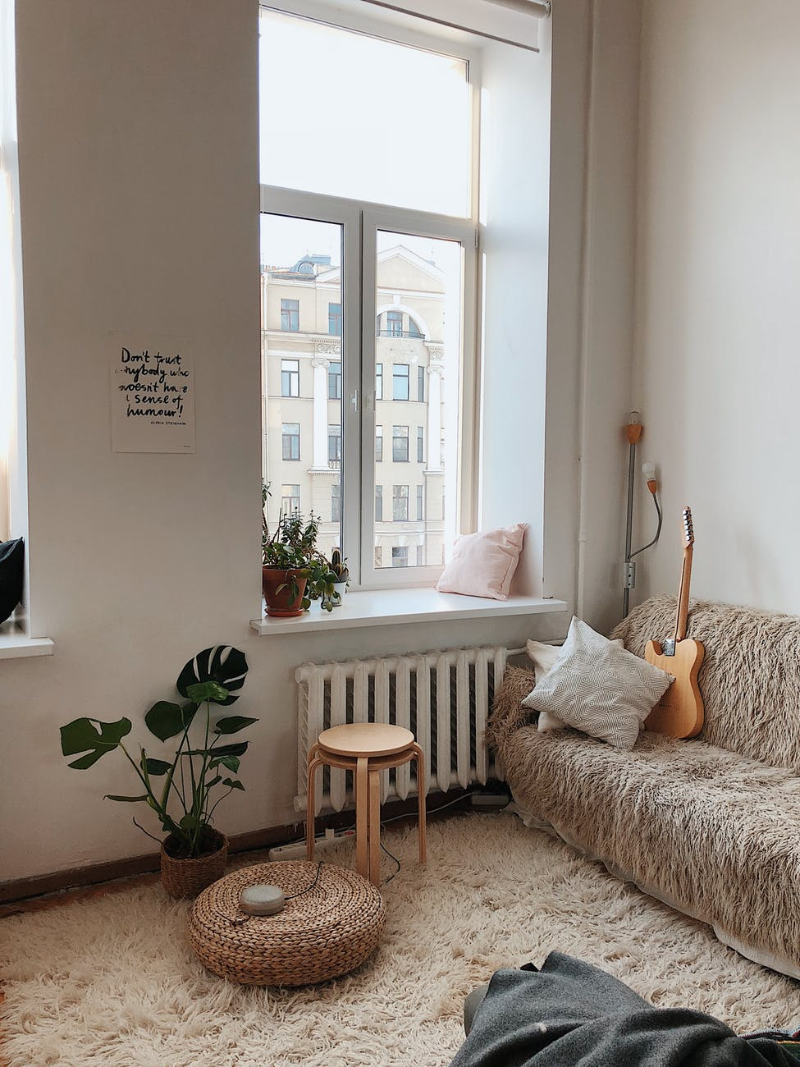 living room with shaggy rug and sofa