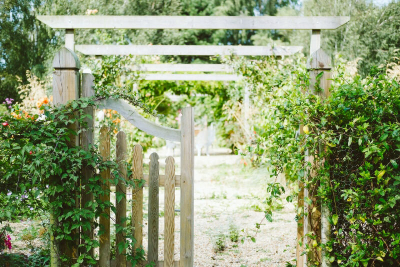 garden wood fence